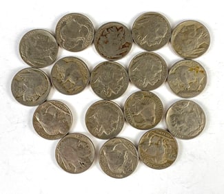 Group of 17 US Buffalo Nickels