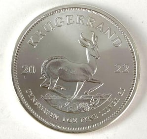 2022 South Africa Krugerrand 1 oz .999 Fine Silver Coin