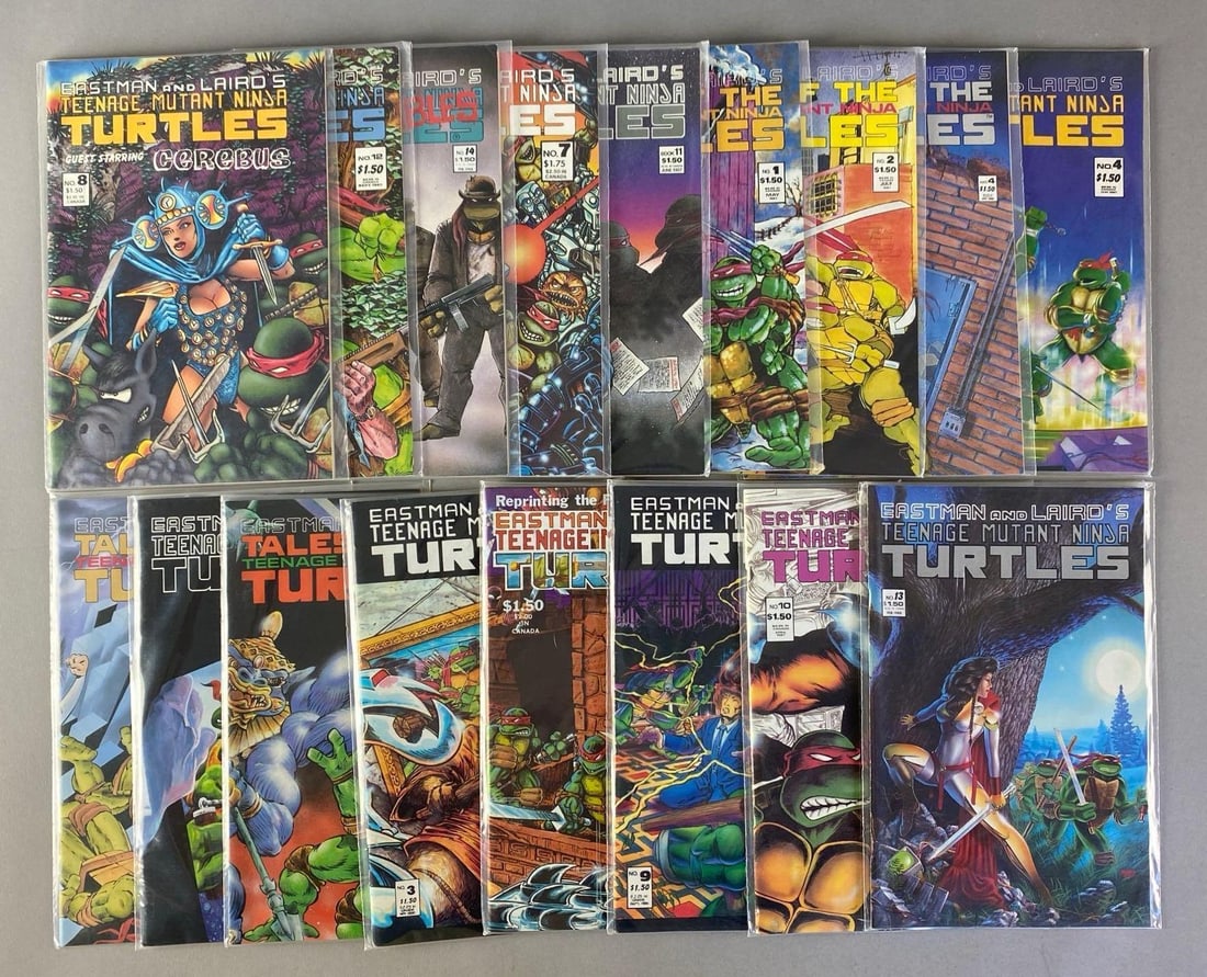 Group of 17 Mirage TMNT Comic Books (1 of 3)