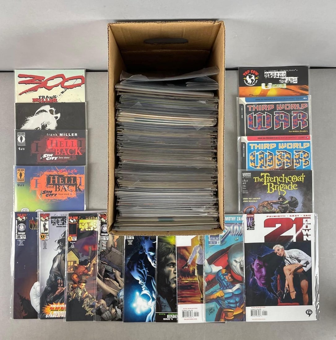 Long Box of Top Cow / Dark Horse / Wildstorm Comic Books (1 of 3)