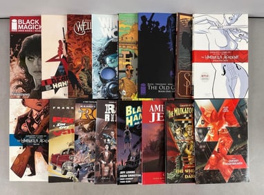 Group of Graphic Novel Books