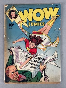 Fawcett Wow Comics Vol. 5 No. 25
