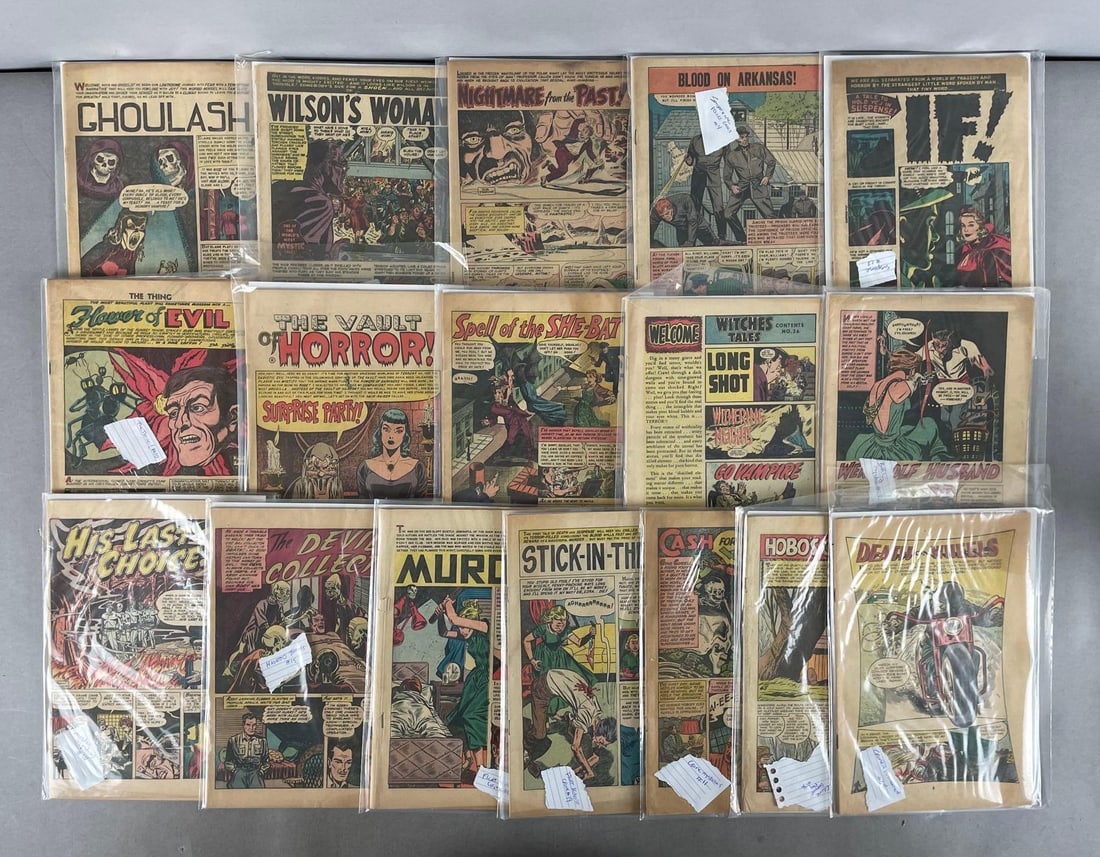 Group of Horror Comic Books: Includes murder, hobos coffin, witches tales