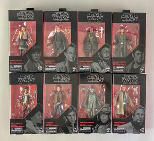 Group of 8 Hasbro Star Wars The Black Series Action Figures