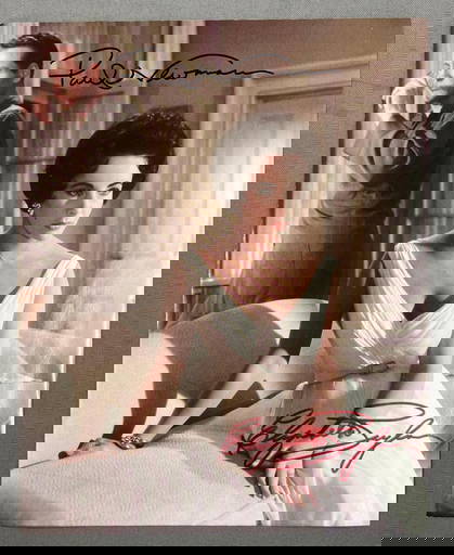 Man On A Ledge Lydia Mercer (elizabeth Banks) Movie