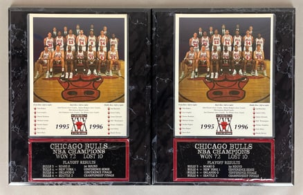 2 - 1995 - 96 Chicago Bulls NBA Champions Plaques