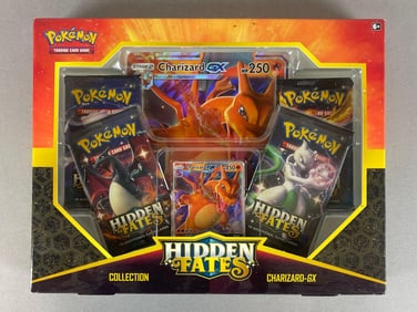 2019 Pokemon Hidden Fates Charizard GX Box