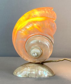 Carved Turbo Marmoratus Iridescent Table Lamp