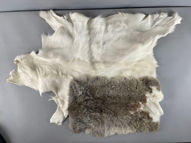Group of 2 Animal Pelts