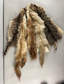 Group of Mink Fur Pelts