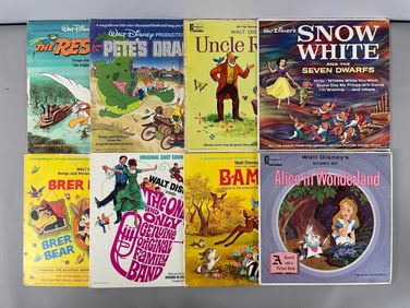 Group of Walt Disney Vinyl Records