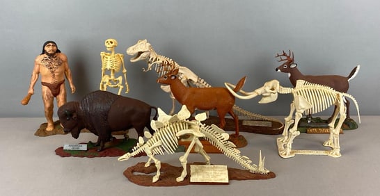 Group of Display Plastic Models