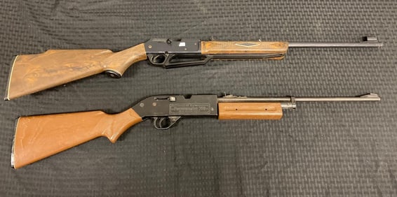 Group of 2 Airguns
