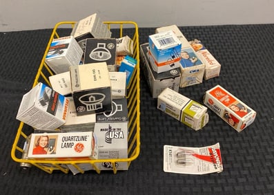 Group of Assorted Bulbs