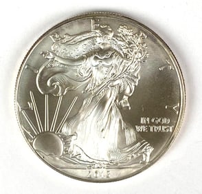 2013 US American Silver Eagle 1 oz Fine Silver