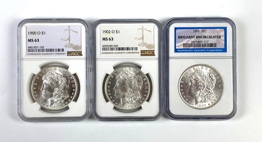 Group of 3 Graded US Morgan Silver Dollars