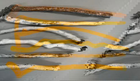 Group of Carved Branch Canes