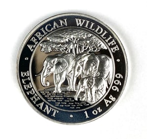 2013 Somali Republic 100 Shillings African Wildlife Elephant 1 oz .999 Silver Coin