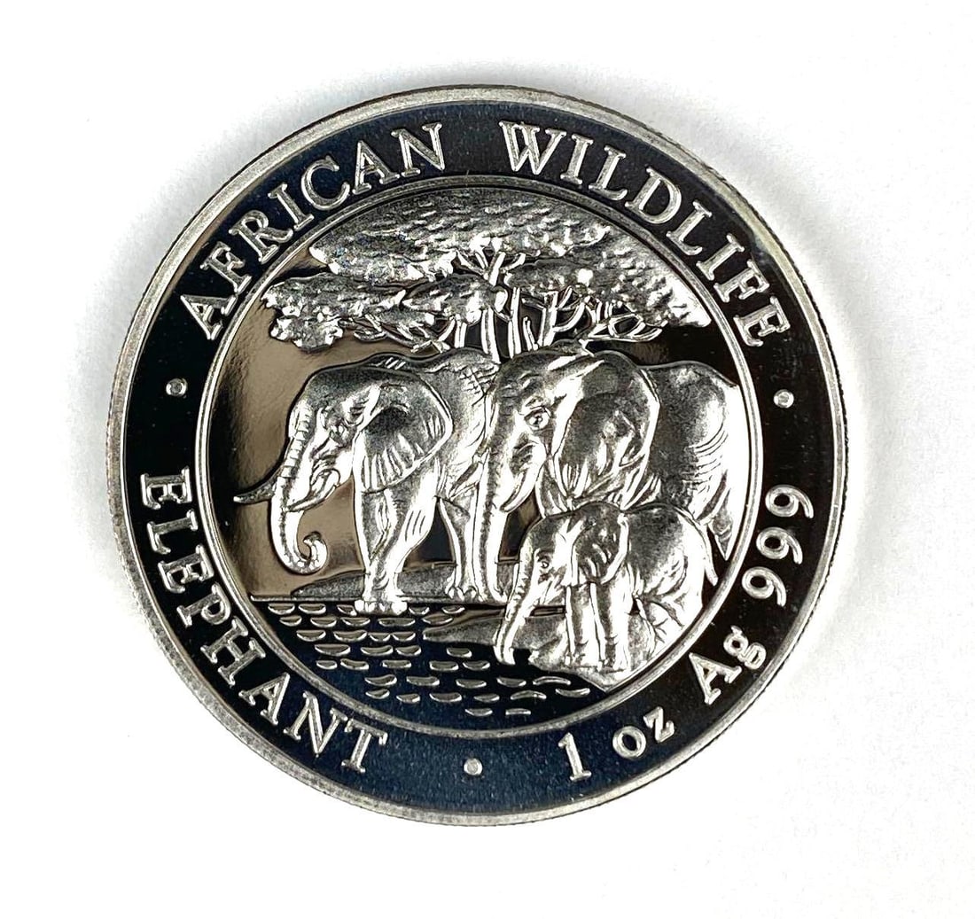 2013 Somali Republic 100 Shillings African Wildlife Elephant 1 oz .999 Silver Coin: 2013 Somali Republic 100 Shillings African Wildlife Elephant 1 oz .999 Silver Coin