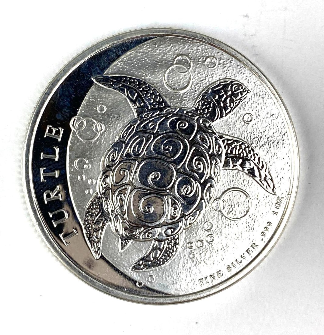 2022 NIUE $2 Turtle 1 oz .999 Fine Silver Coin (1 of 2)