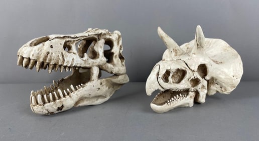 Group of 2 Resin Decorative Dinosaur Skulls