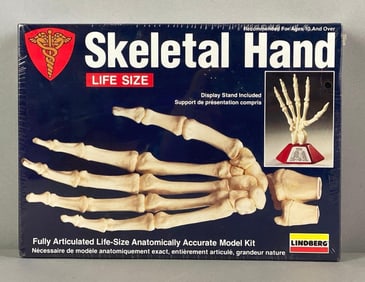 Lindberg Skeletal Hand Anatomical Plastic Model Kit