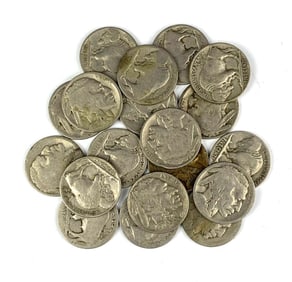 Group of 19 US Buffalo Nickels