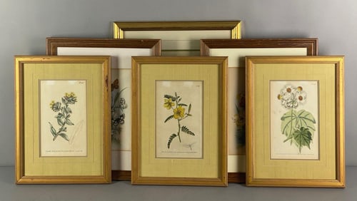 Group of 6 Botanical Prints