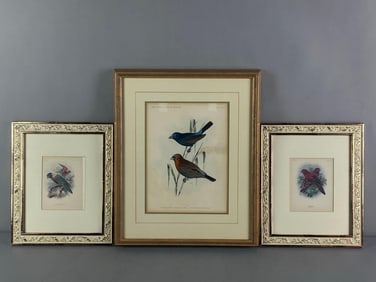 Group of 3 Bird Lithographs