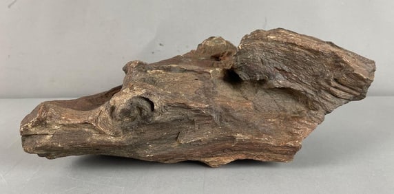 Petrified Wood Log