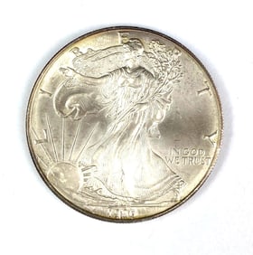 1996 US Silver American Eagle 1oz Silver Dollar