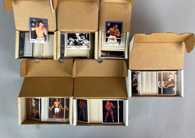 Group of 1991 Boxing Trading Cards
