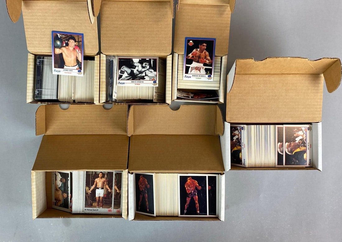 Group of 1991 Boxing Trading Cards: includes kayo and AW sports