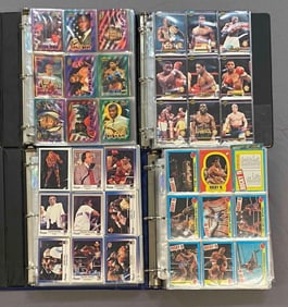 Group of Assorted 1990s Boxing Trading Cards