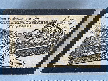 Rare 1907 World Series Chicago Cubs vs Detroit Tigers Cartoon Postcard