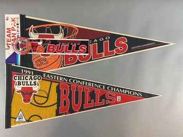 2 - 1991 Chicago Bulls Pennants + Sticker and Button