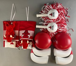 Chicago Bulls Fan Collection