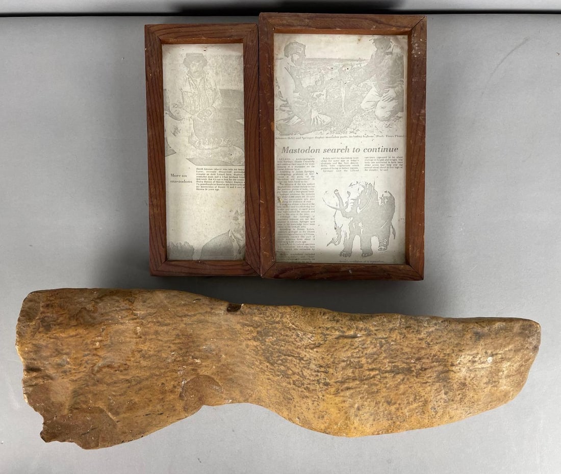 Mastadon Jawbone Fossil from Leland Illinois (1 of 5)