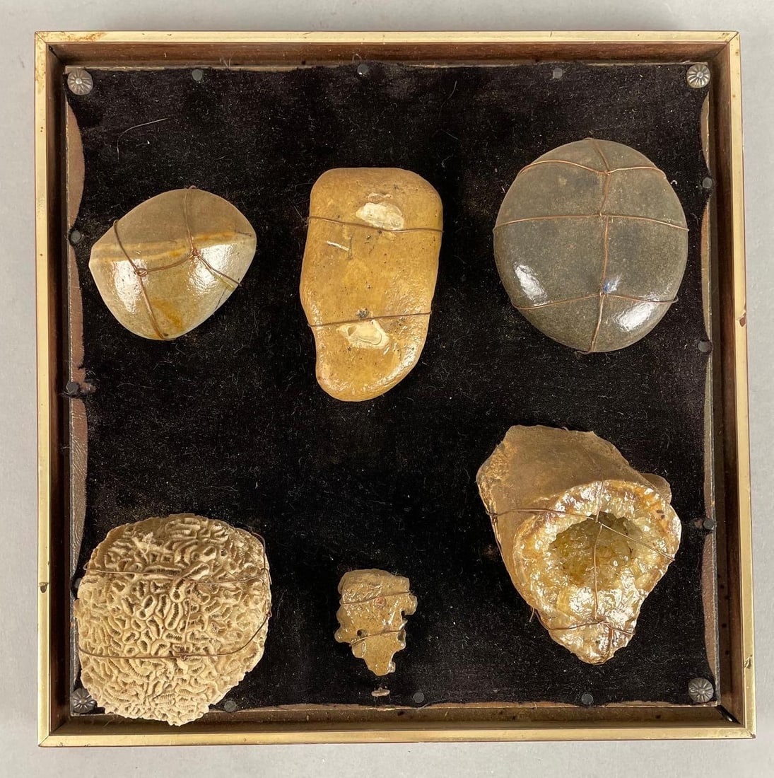 Group of Fossils and More (1 of 3)