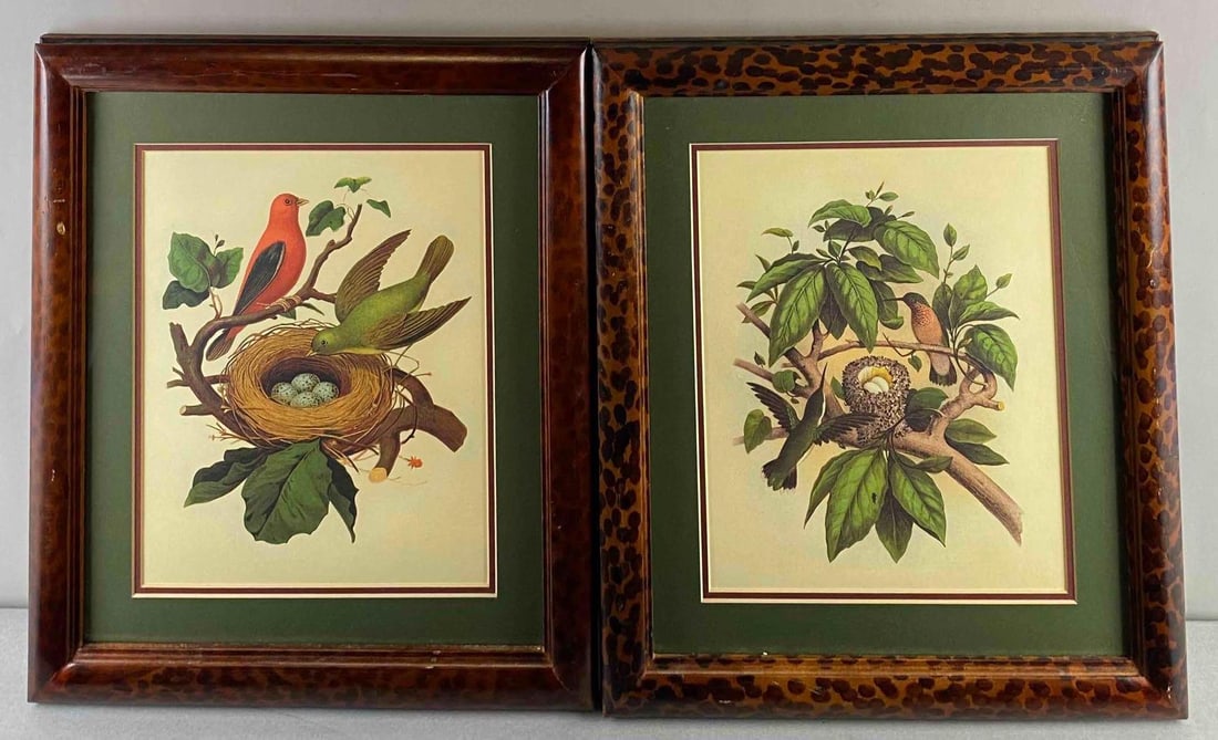 Group of 2 Modern Bird Themed Framed Prints (1 of 3)