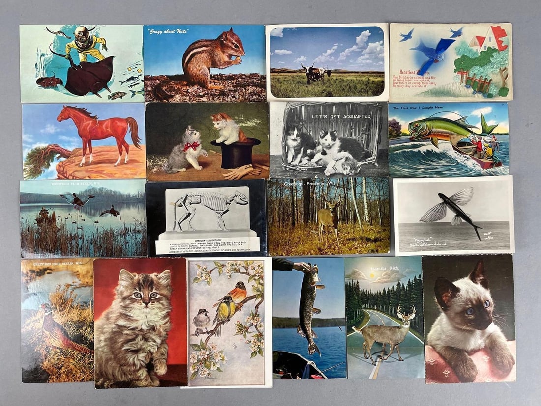 Postcards - 50+ Animals (1 of 3)