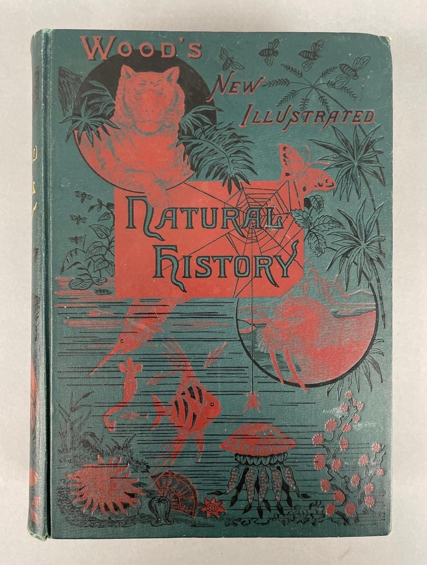 Antique Wood's New Illustrated Natural History Hardcover Book (1 of 4)