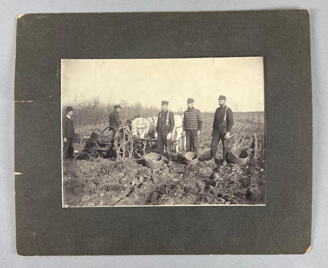 Antique Photograph with Horse Drawn Plow in Potato Field (1 of 2)