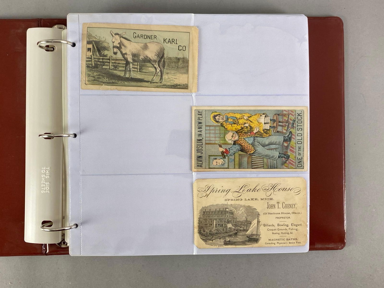 Album of 90+ Antiwue Trade Cards and More (1 of 8)