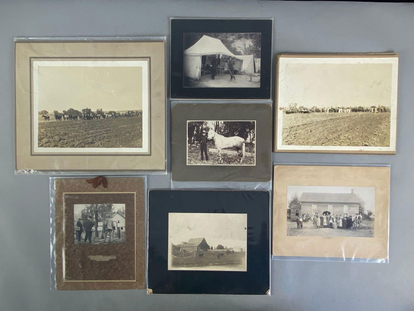 Group of 7 Vintage Photographs: In-House Shipping Option: If you would like to use our in-house shipping service, please select “Arrange My Own Shipping” when paying your invoice. After payment, our in-house shipping team wi