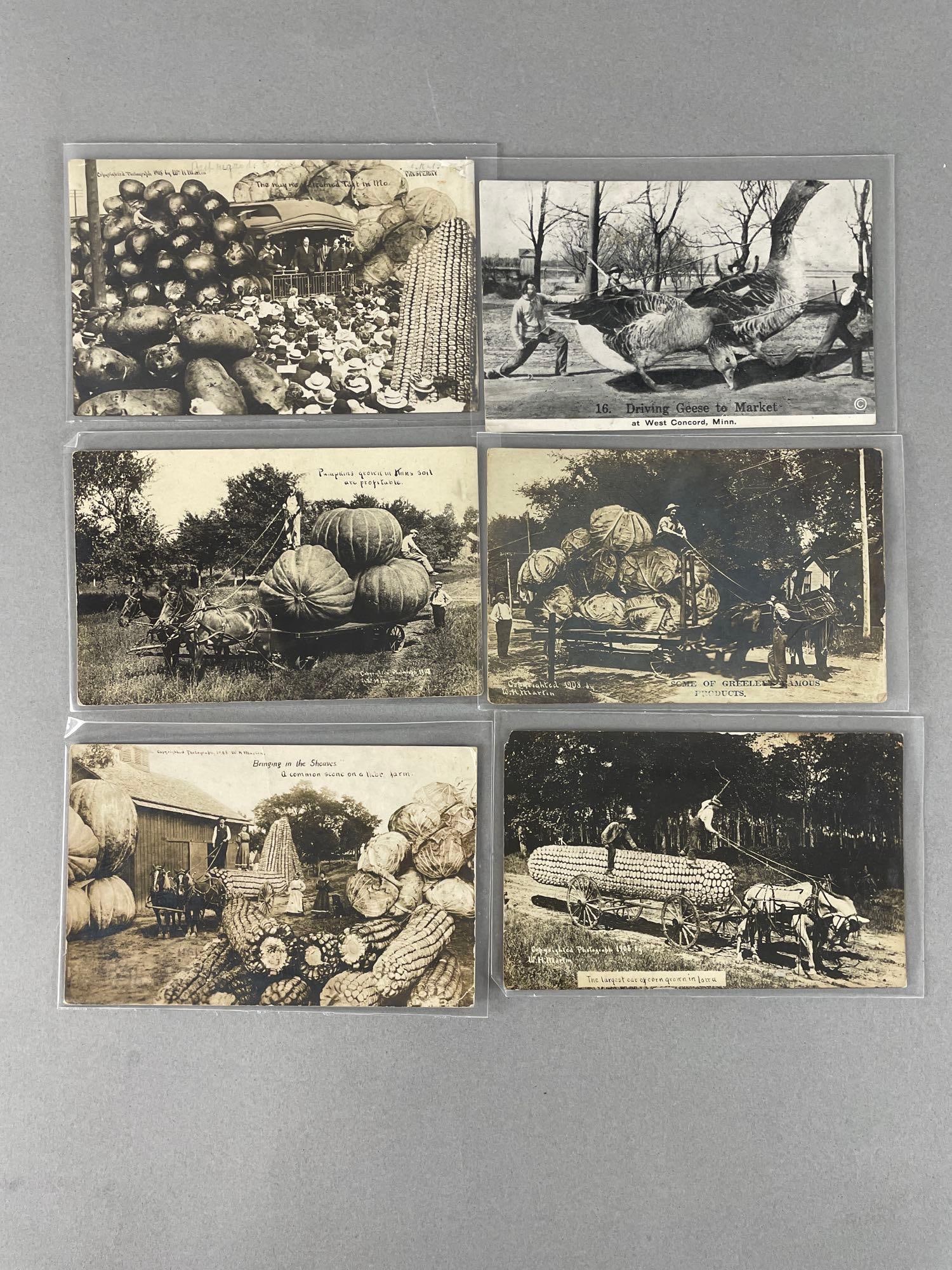 Postcards - 10 Exaggeration - 2