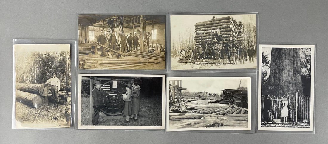 Postcards - 6 Logging Real Photo (1 of 2)