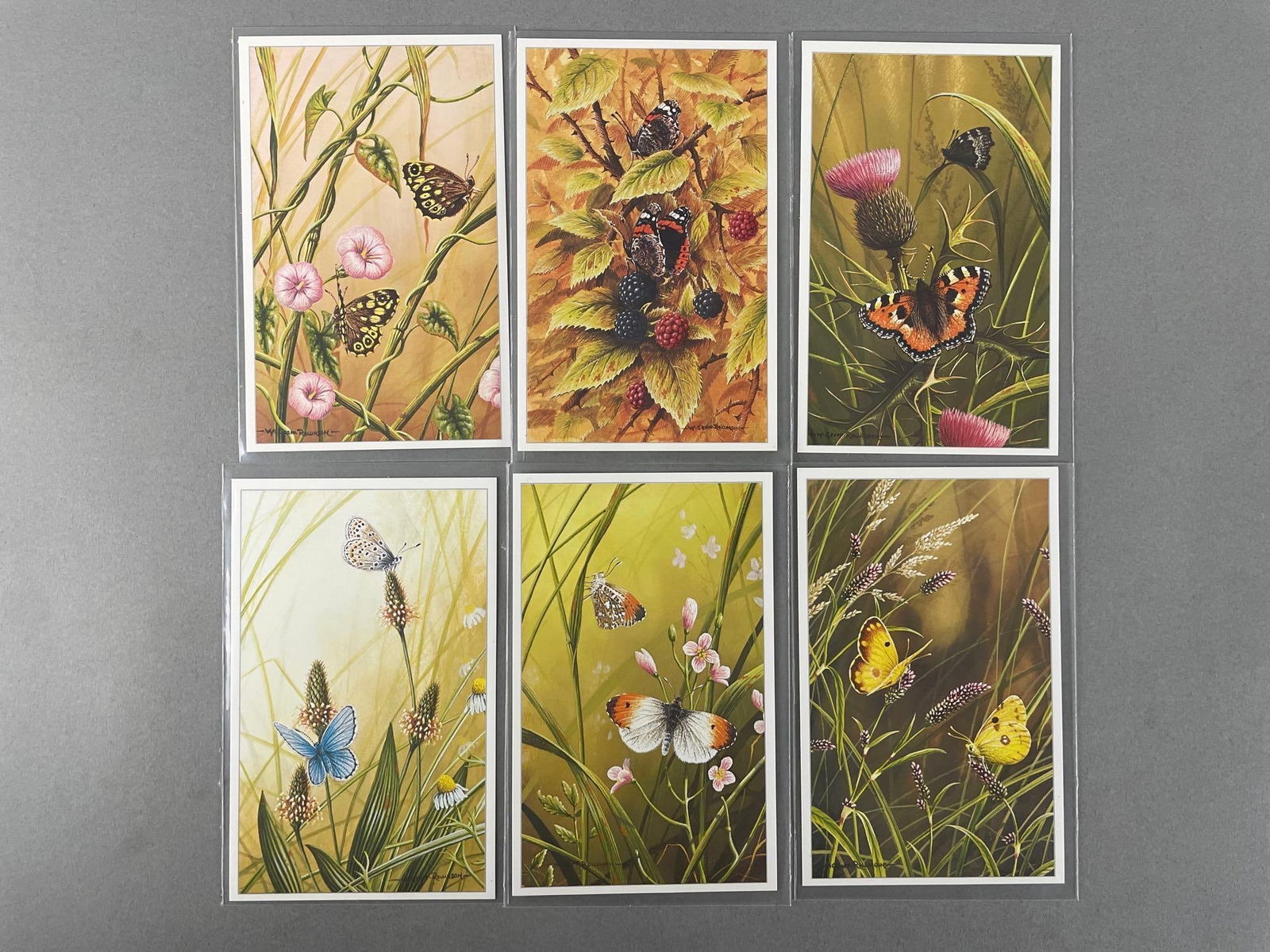 Postcards - 4 Groups / Sets - 3