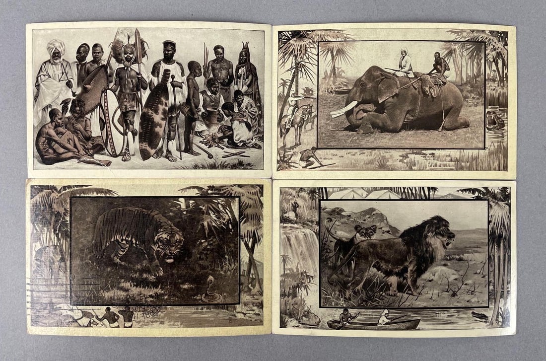 Postcards - 20+ African Safari: In-House Shipping Option: If you would like to use our in-house shipping service, please select “Arrange My Own Shipping” when paying your invoice. After payment, our in-house shipping team