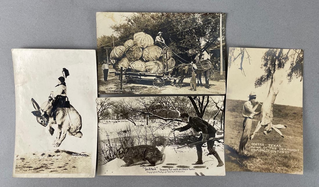 Postcards - 20 Exaggeration Real Photo: In-House Shipping Option: If you would like to use our in-house shipping service, please select “Arrange My Own Shipping” when paying your invoice. After payment, our in-house shipping team wi